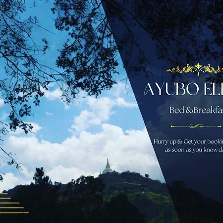 Ayubo Ella - Bed & Breakfast מראה חיצוני תמונה